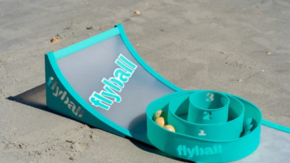 Flyball Beach Game