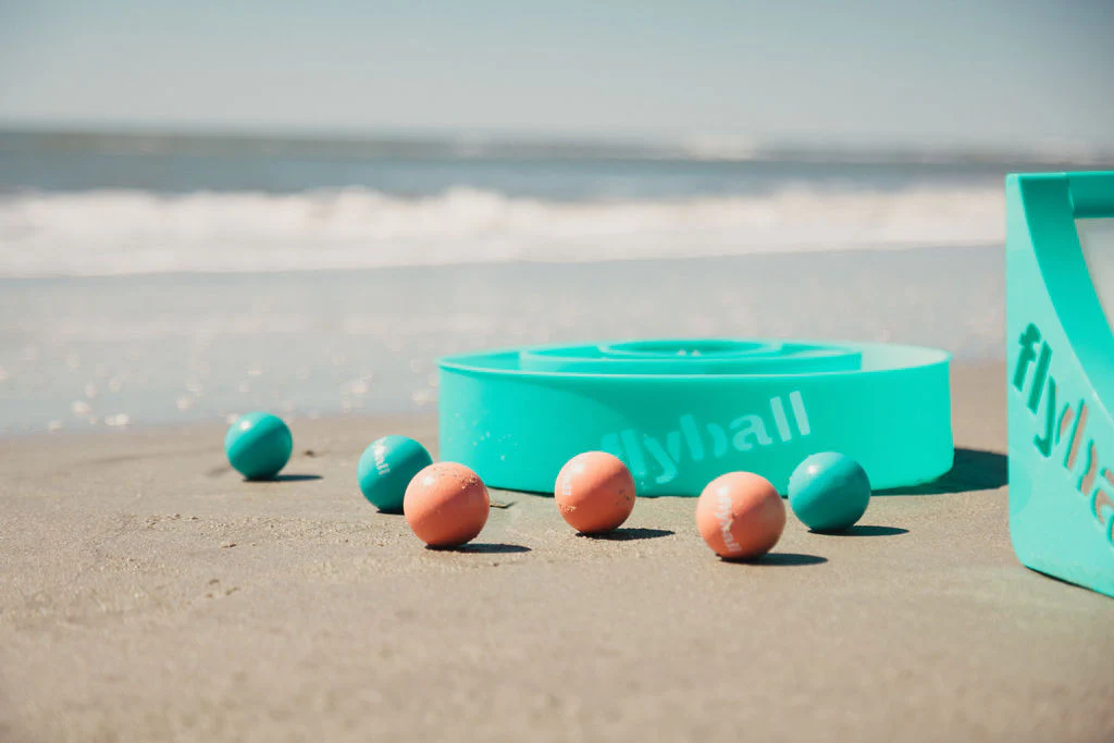 Flyball Beach Game