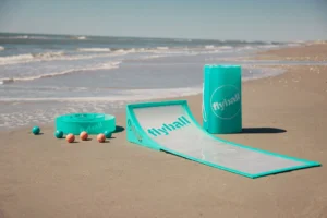 Flyball Beach Game