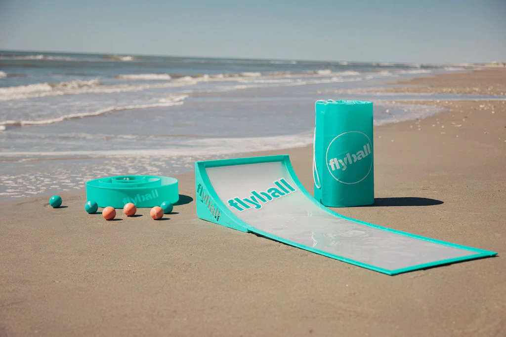 Flyball Beach Game